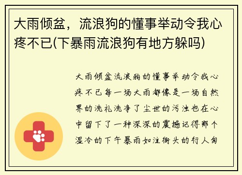 大雨倾盆，流浪狗的懂事举动令我心疼不已(下暴雨流浪狗有地方躲吗)