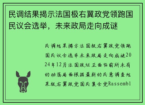 民调结果揭示法国极右翼政党领跑国民议会选举，未来政局走向成谜