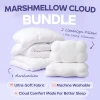 Comforter and 2 Pillow Set