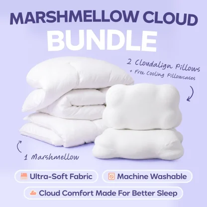 Comforter and 2 Pillow Set