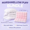 Comforter and 2 Pillow Set