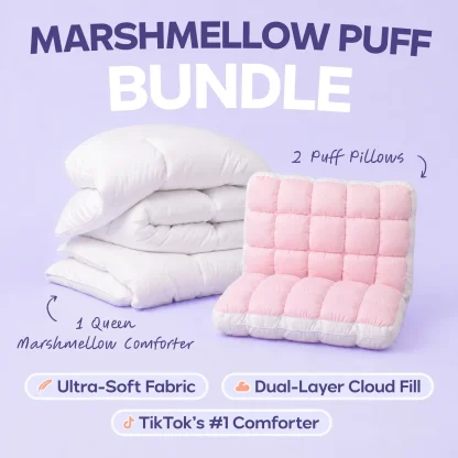 Comforter and 2 Pillow Set