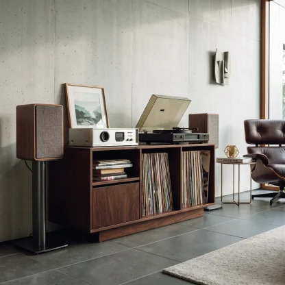 Contemporary Turntable Record Cabinet For Living Room