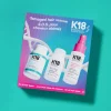 Damaged Hair Care Mini Set