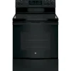 GE 30 Freestanding Electric Range, Black Dual-Element Cooktop, Convection Oven, Self-Cleaning
