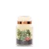 Glass Terrarium Plug-In Diffuser