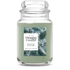 Large Fresh Berry Jar Candle