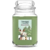 Large Jar Candle - Balsam & Cedar
