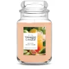Large Jar Candle - Guava Cider