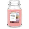Large Jar Scented Candle - Pink Pumpkin