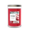 Large Tumbler Candle - Spiced