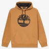 Men's Graphic Hooded Sweatshirt