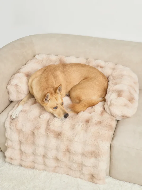 Pet Sofa Bed - Cookies & Cream
