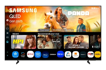 Samsung QLED 55 Zoll 4K Smart TV - 55Q6F YG01010003558