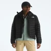 Women's Insulated Hooded Jacket - Blue